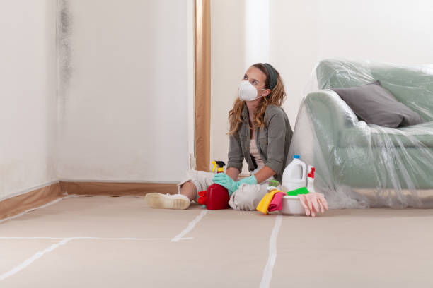 Reliable Mold Cleanup contractor in Hummelstown, PA by WQB Mold Removal